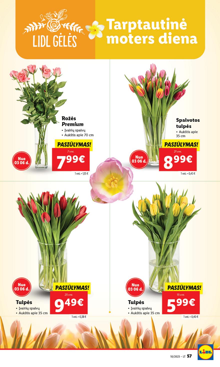 Lidl pasiūlymai akcijos nuo 
  2023-03-03 iki 
  2023-03-12 | Leidinukas.lt puslapis 57