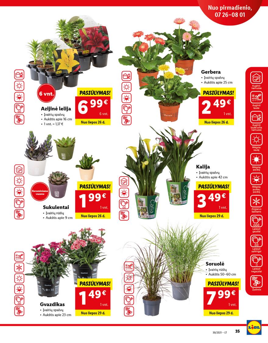 Lidl maisto prekių pasiūlymai akcijos nuo 
  2021-07-26 iki 
  2021-08-01 | Leidinukas.lt puslapis 35