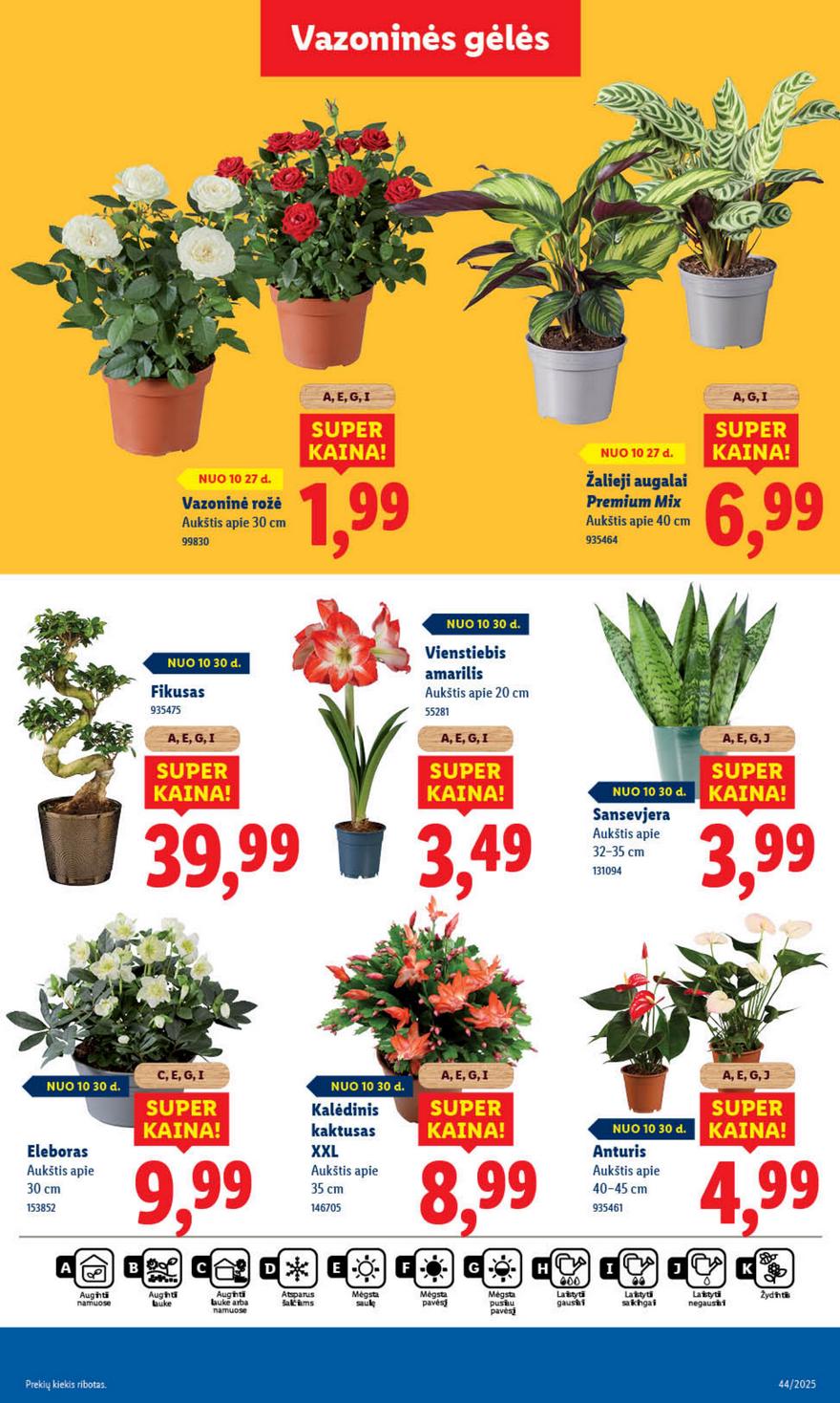 Lidl leidinys naujas akcijos nuo 
  2025-10-27 iki 
  2025-11-02 | Leidinukas.lt puslapis 49