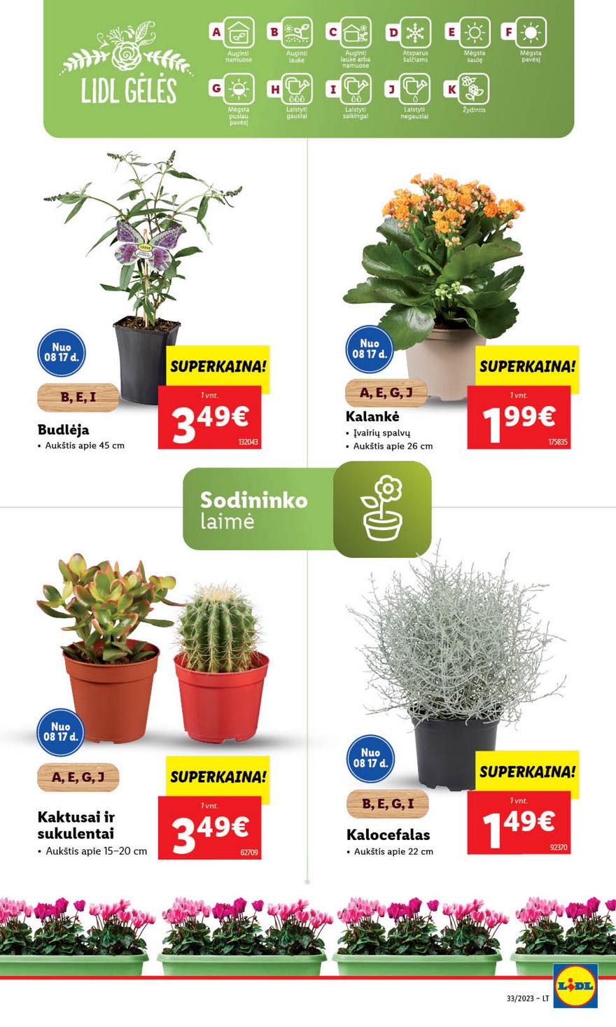 Lidl pasiūlymai akcijos nuo 
  2023-08-14 iki 
  2023-08-20 | Leidinukas.lt puslapis 50