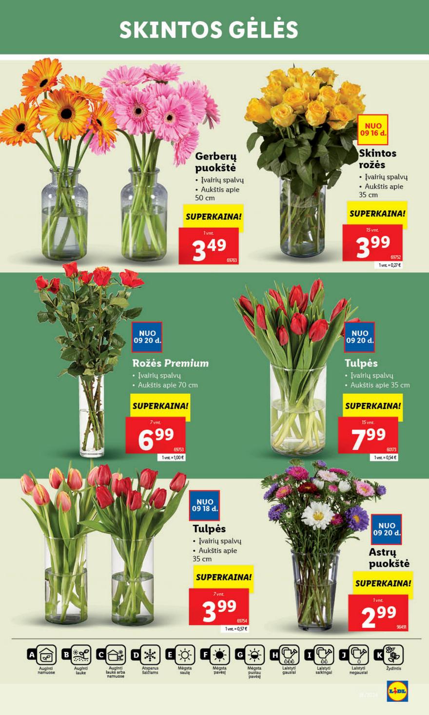Lidl savaitinis leidinys akcijos nuo 
  2024-09-16 iki 
  2024-09-22 | Leidinukas.lt puslapis 32
