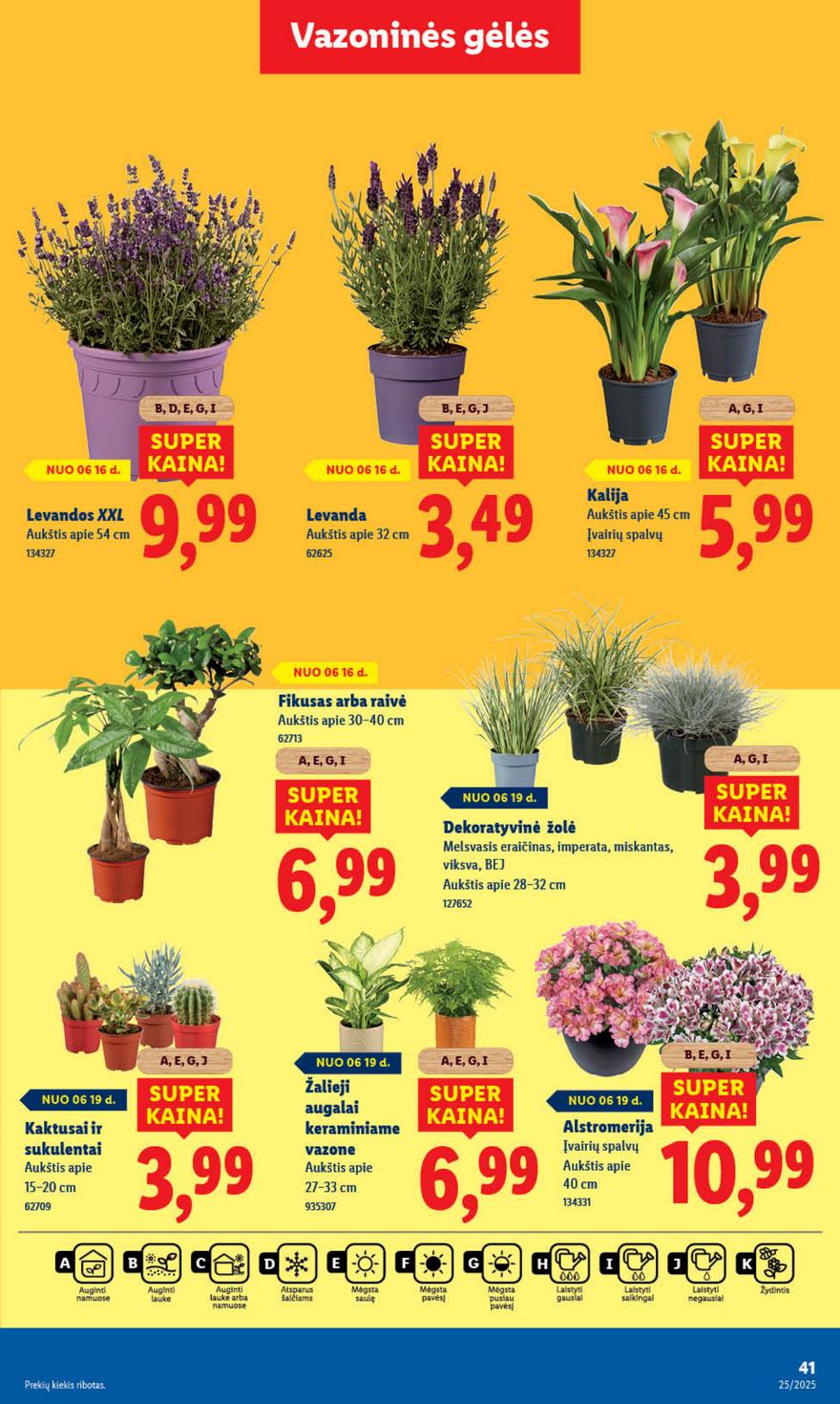 Lidl leidinys naujas akcijos nuo 
  2025-06-16 iki 
  2025-06-22 | Leidinukas.lt puslapis 41