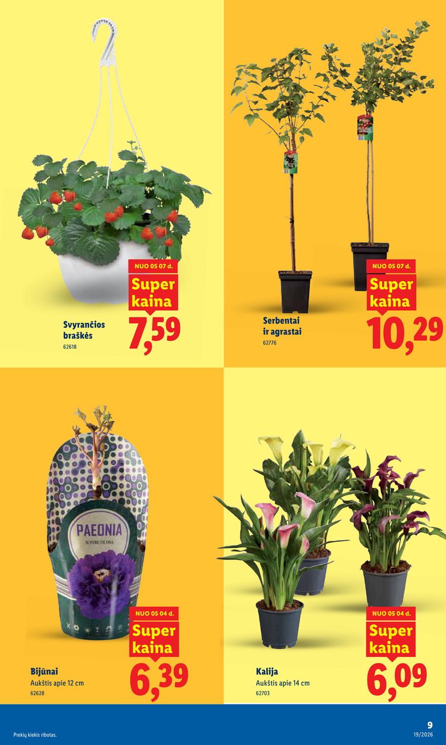 Lidl leidinys akcijos nuo 
  2026-05-04 iki 
  2026-05-10 | Leidinukas.lt puslapis 9