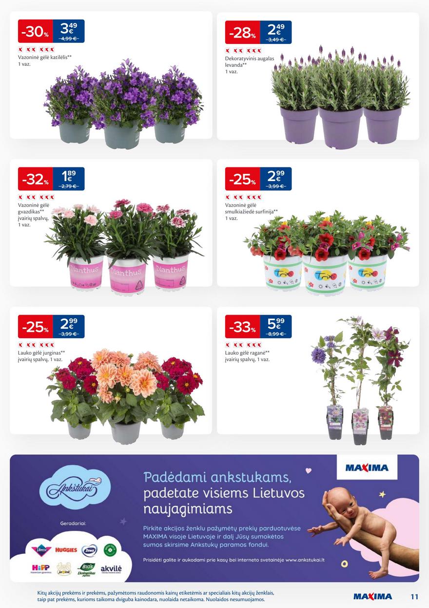 Maxima leidinukas akcijos nuo
2025-06-10 iki
2025-06-16 | Leidinukas.lt puslapis 11