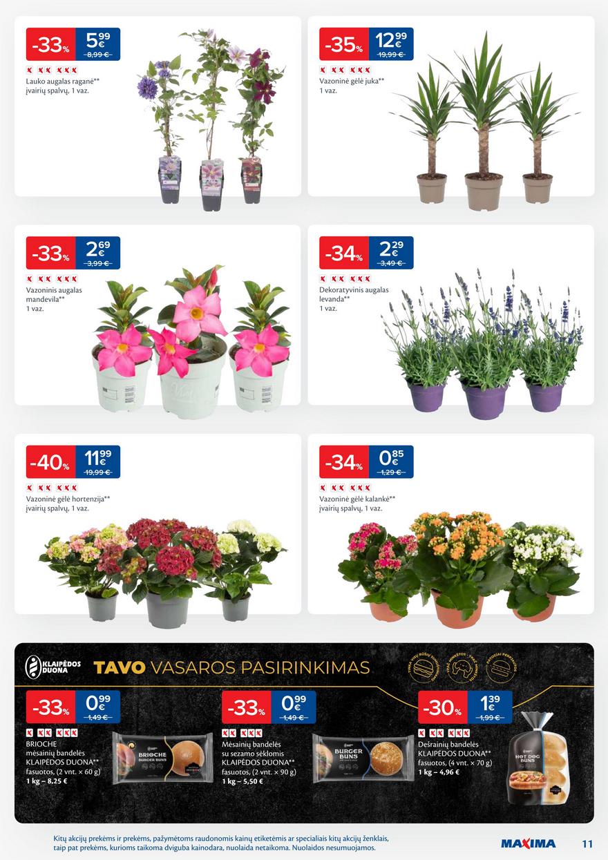 Maxima leidinys 28 akcijos nuo
2025-07-08 iki
2025-07-14 | Leidinukas.lt puslapis 11