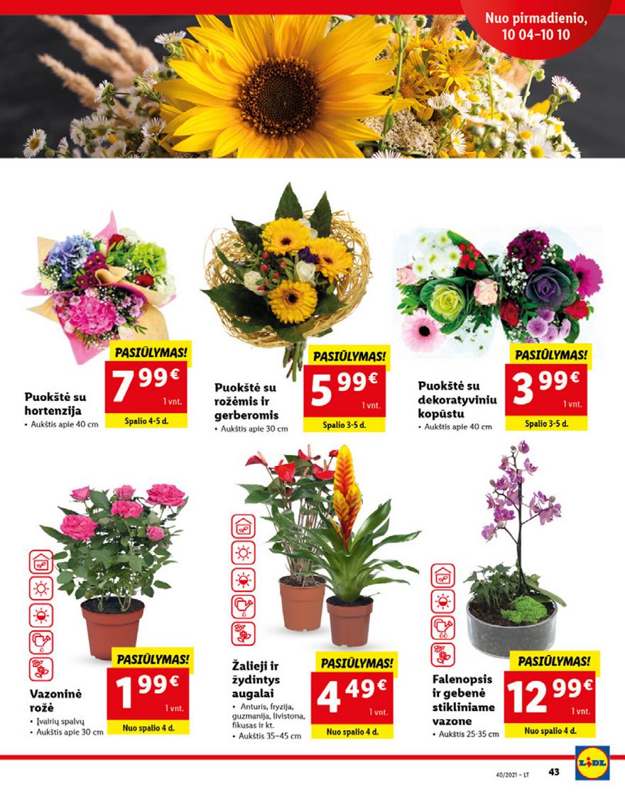 Lidl maisto prekių pasiūlymai akcijos nuo 
  2021-10-04 iki 
  2021-10-10 | Leidinukas.lt puslapis 43