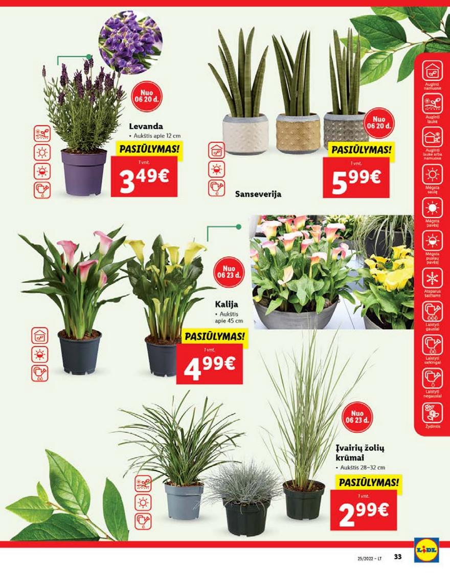 Lidl maisto prekių pasiūlymai akcijos nuo 
  2022-06-20 iki 
  2022-06-26 | Leidinukas.lt puslapis 33