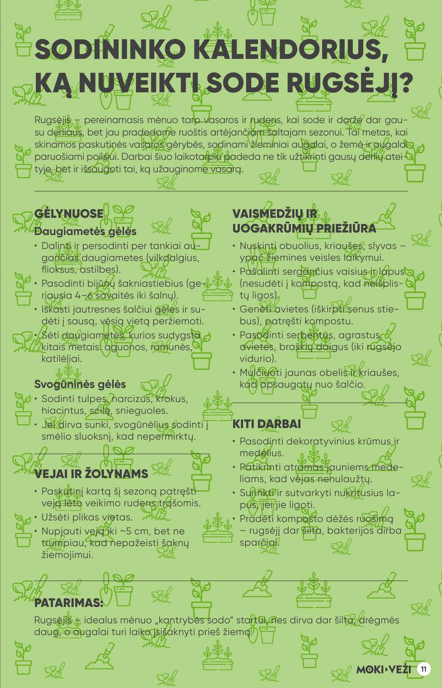 Moki veži leidinys akcijos nuo 
  2025-08-21 iki 
  2025-09-16 | Leidinukas.lt puslapis 11