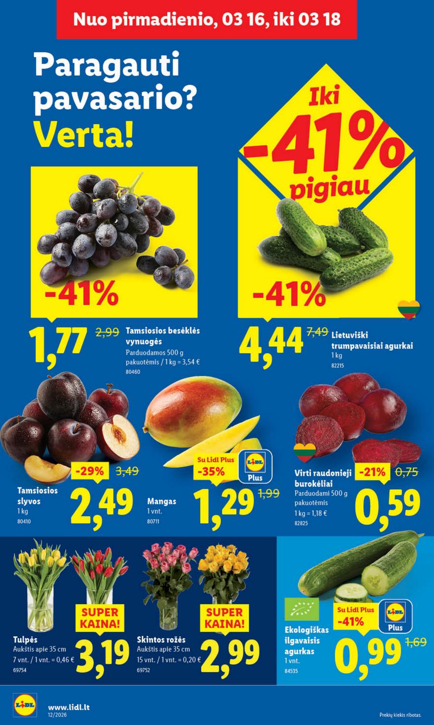 Lidl leidinys akcijos nuo 
  2026-03-16 iki 
  2026-03-22 | Leidinukas.lt puslapis 4