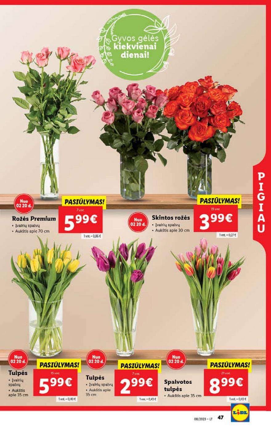 Lidl pasiūlymai akcijos nuo 
  2023-02-20 iki 
  2023-02-26 | Leidinukas.lt puslapis 47