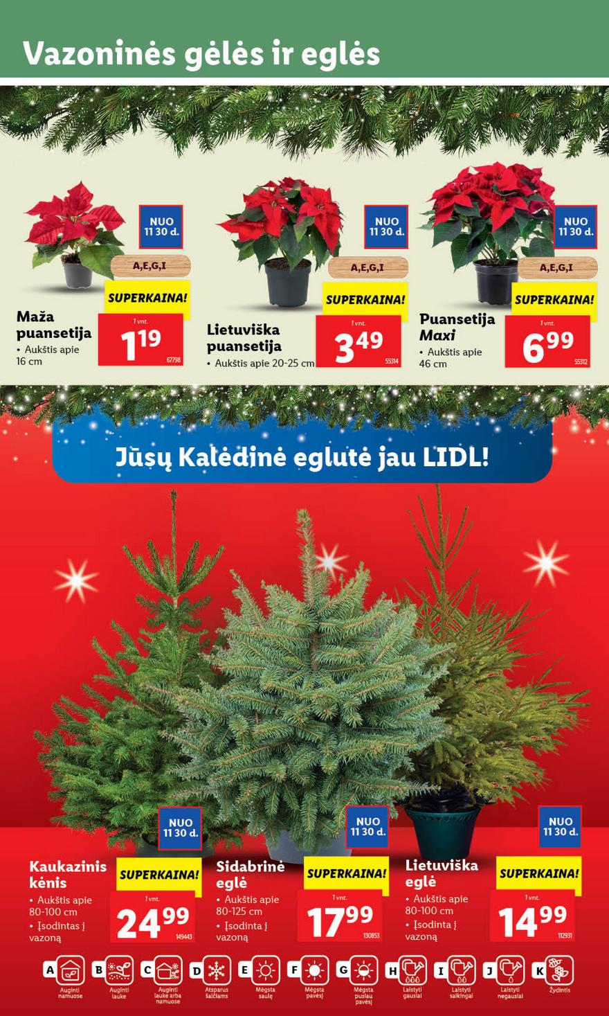 Lidl pasiūlymai akcijos nuo 
  2023-11-27 iki 
  2023-12-03 | Leidinukas.lt puslapis 46