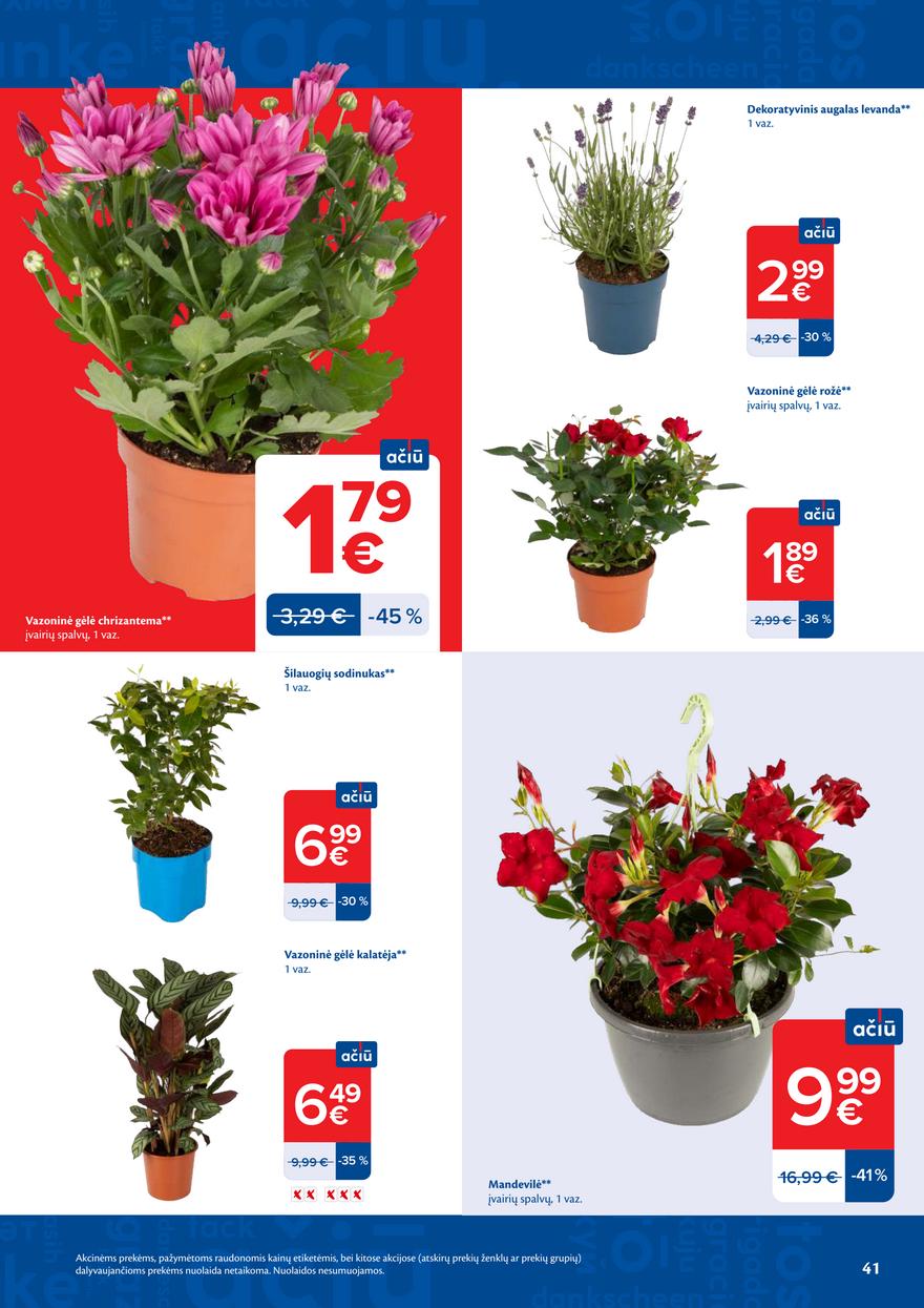 Maxima leidinys akcijos nuo 
  2026-07-21 iki 
  2026-07-27 | Leidinukas.lt puslapis 41