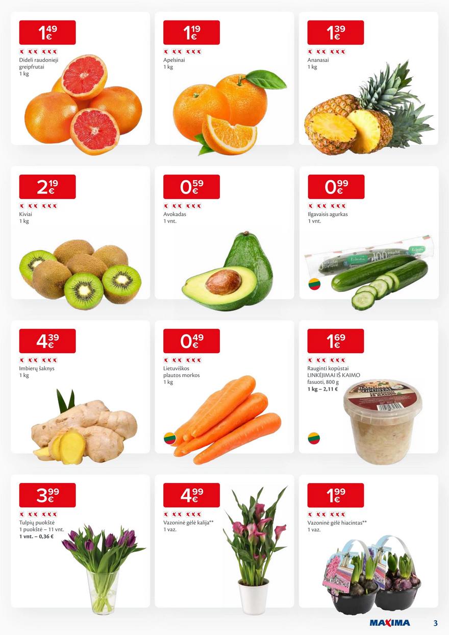 Maxima kaininis leidinys akcijos nuo 
  2024-01-09 iki 
  2024-01-15 | Leidinukas.lt puslapis 3