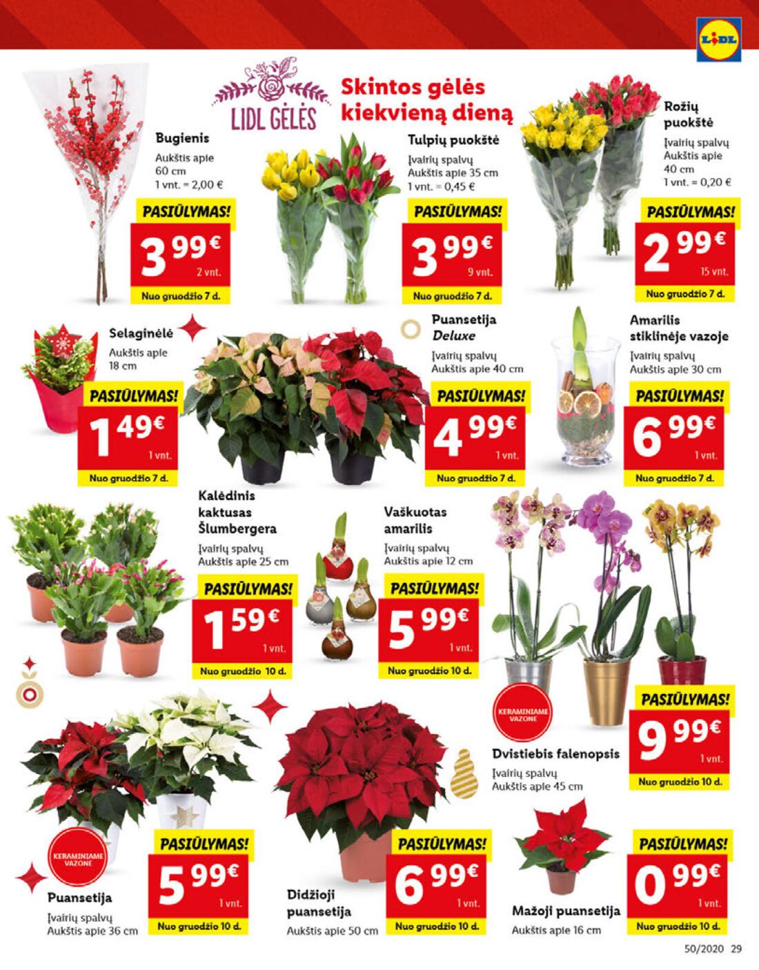 Lidl savaitinis leidinys akcijos nuo 
  2020-12-07 iki 
  2020-12-13 | Leidinukas.lt puslapis 29