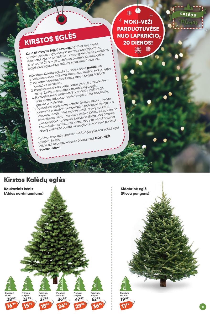 Moki veži leidinys akcijos nuo 
  2023-11-09 iki 
  2023-12-05 | Leidinukas.lt puslapis 11