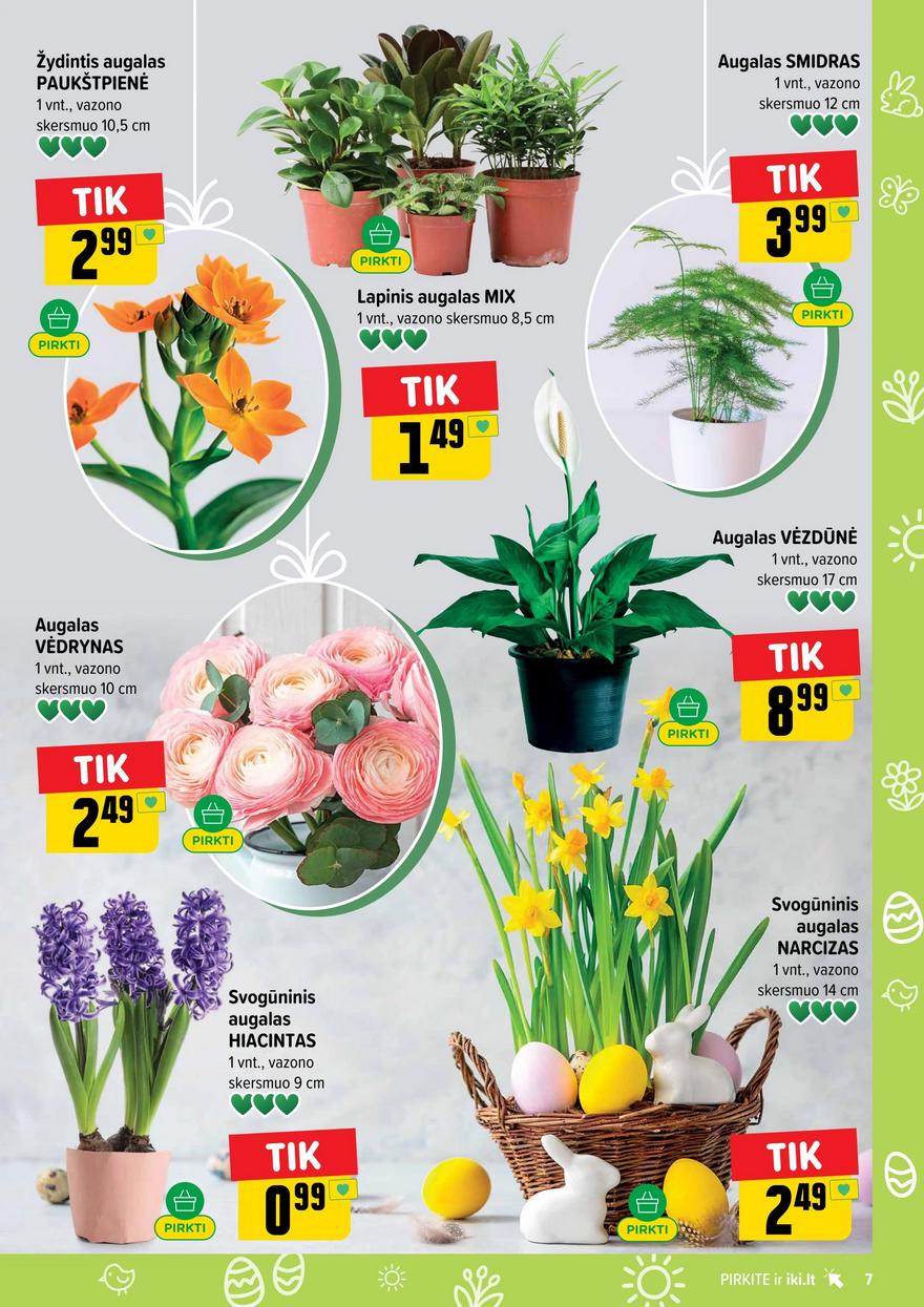 Iki leidinys akcijos nuo 
  2026-03-16 iki 
  2026-03-22 | Leidinukas.lt puslapis 7