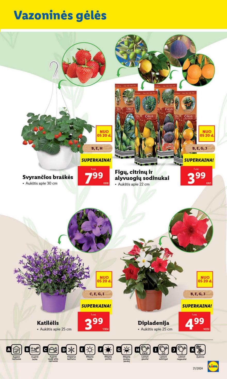 Lidl leidinys akcijos nuo 
  2024-05-20 iki 
  2024-05-26 | Leidinukas.lt puslapis 40