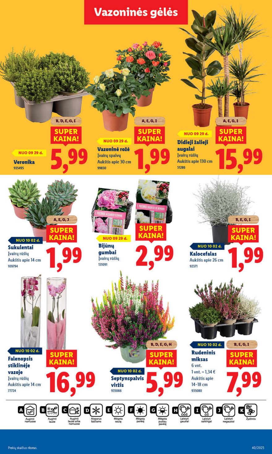 Lidl leidinys akcijos nuo 
  2025-09-29 iki 
  2025-10-05 | Leidinukas.lt puslapis 43