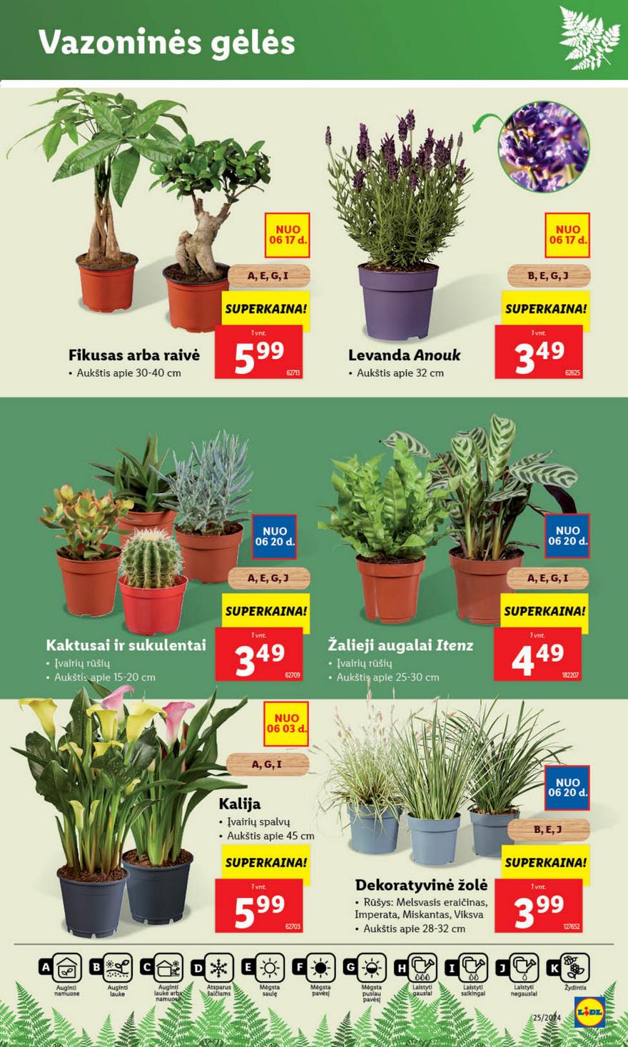 Lidl leidinys akcijos nuo 
  2024-06-17 iki 
  2024-06-23 | Leidinukas.lt puslapis 39