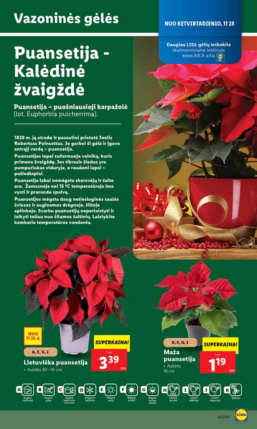 Lidl leidinys naujas akcijos nuo 
  2024-11-25 iki 
  2024-12-01 | Leidinukas.lt puslapis 43