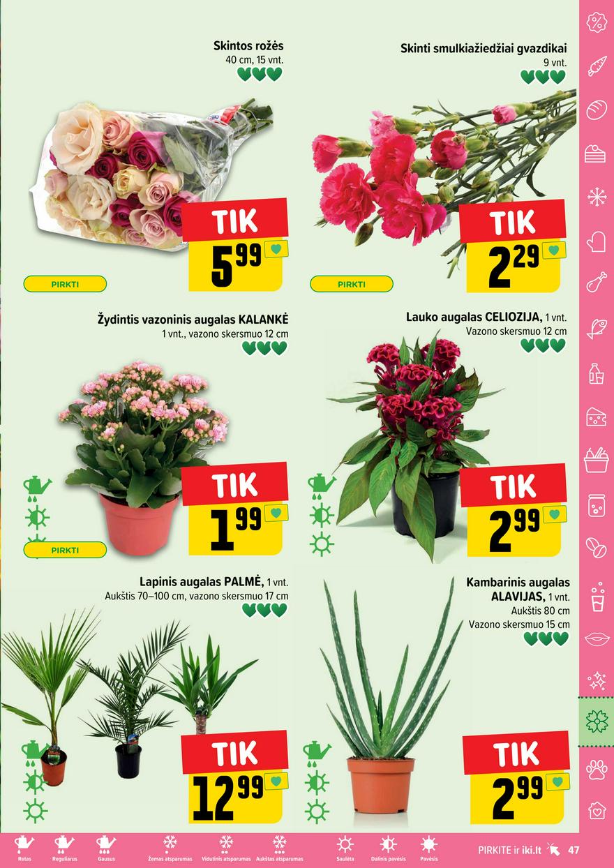 Iki leidinys akcijos nuo 
  2024-07-08 iki 
  2024-07-14 | Leidinukas.lt puslapis 47
