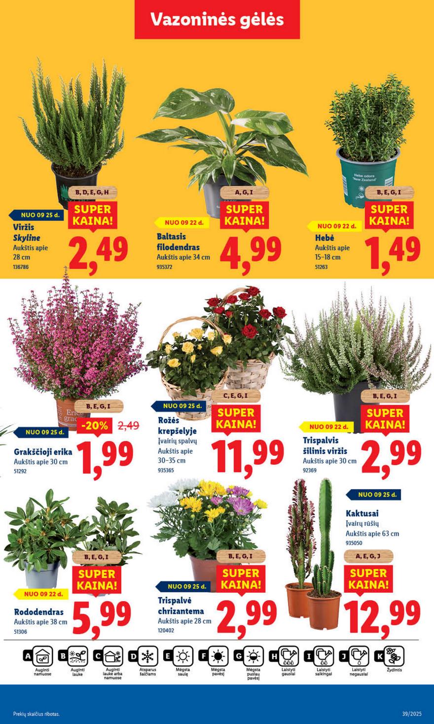 Lidl leidinys naujas akcijos nuo 
  2025-09-22 iki 
  2025-09-28 | Leidinukas.lt puslapis 43