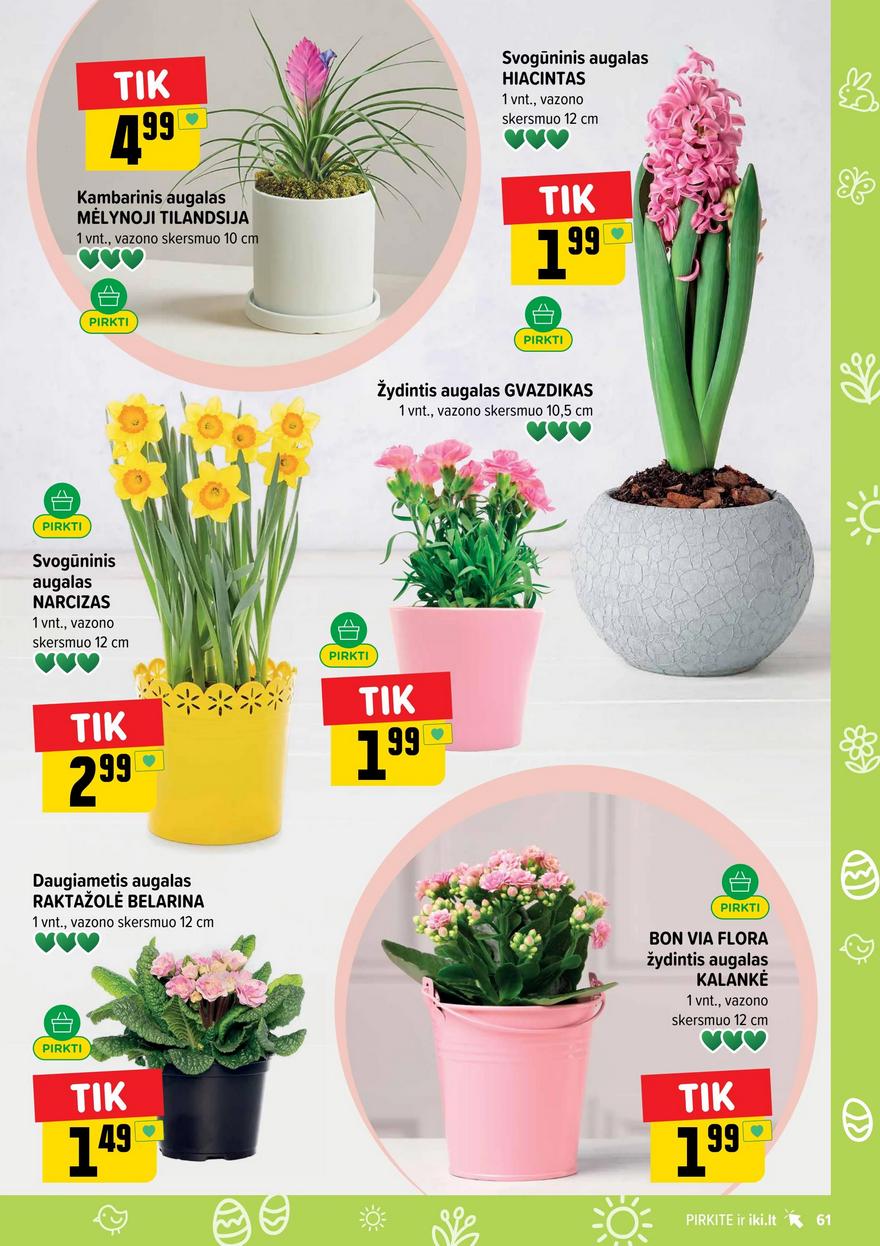 Iki leidinys akcijos nuo 
  2026-03-23 iki 
  2026-03-29 | Leidinukas.lt puslapis 61