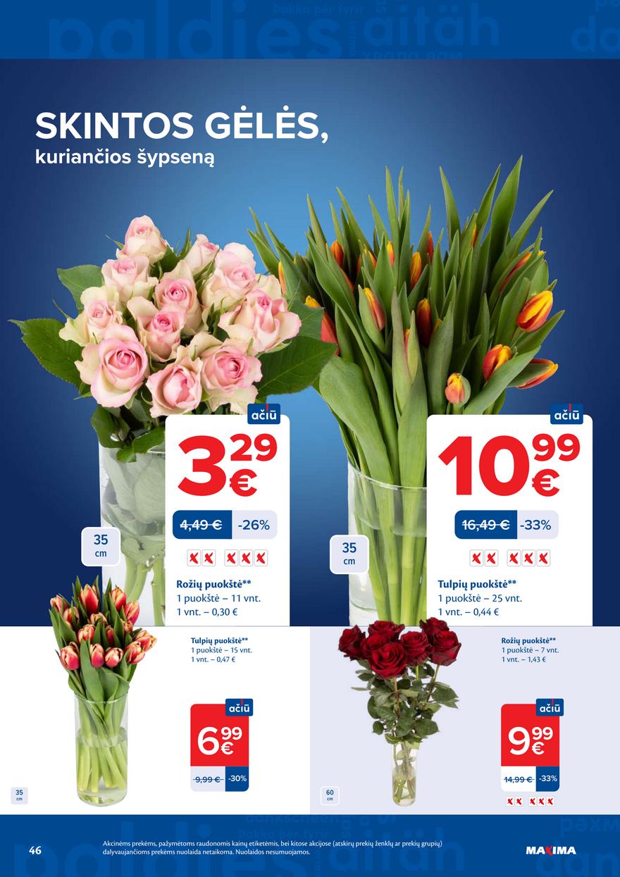 Maxima leidinys akcijos nuo 
  2026-04-21 iki 
  2026-04-27 | Leidinukas.lt puslapis 46