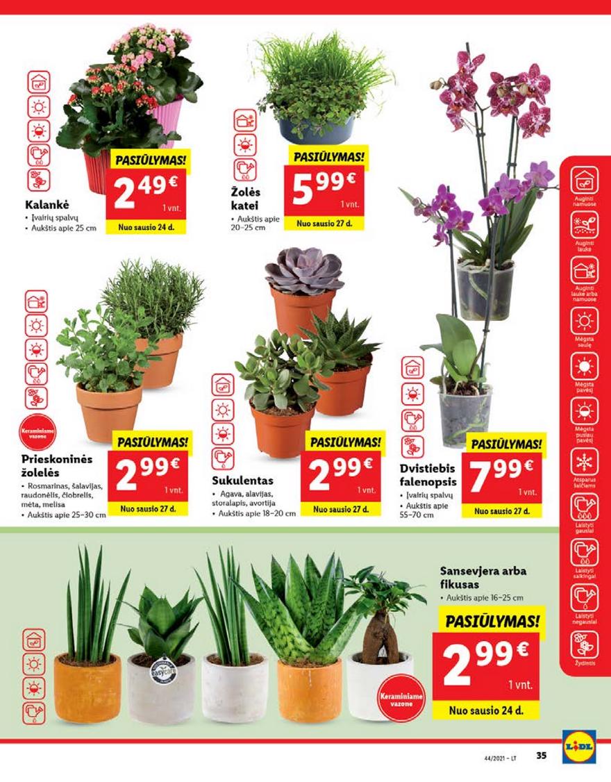 Lidl pasiūlymai akcijos nuo 
  2022-01-24 iki 
  2022-01-30 | Leidinukas.lt puslapis 35