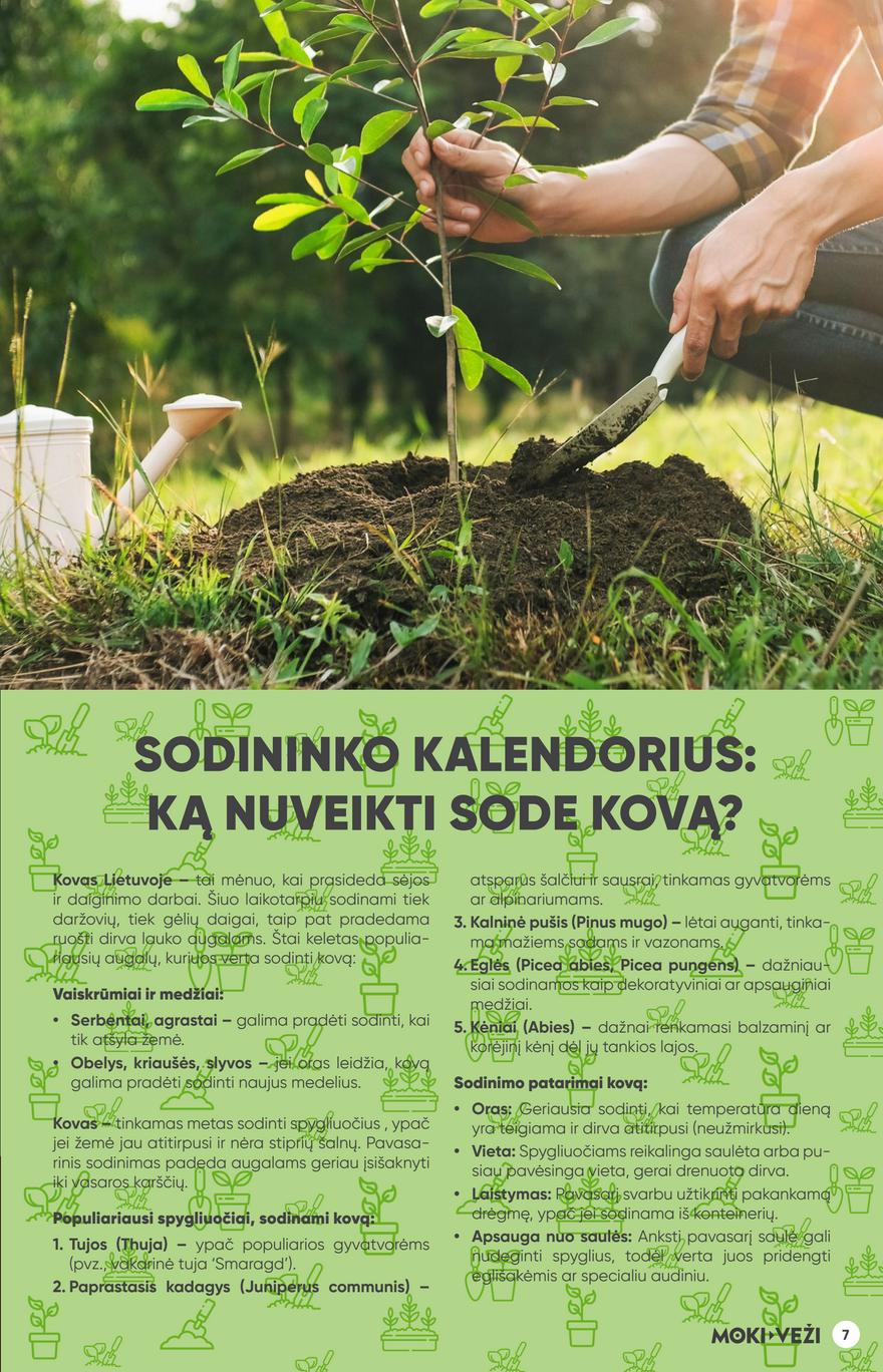 Moki veži leidinys akcijos nuo 
  2025-03-06 iki 
  2025-04-01 | Leidinukas.lt puslapis 7