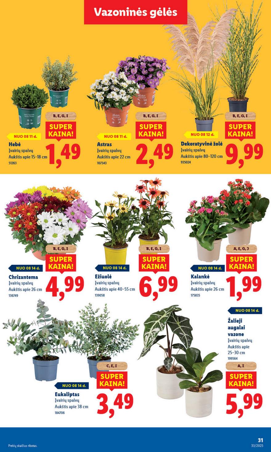 Lidl leidinys akcijos nuo 
  2025-08-11 iki 
  2025-08-17 | Leidinukas.lt puslapis 43