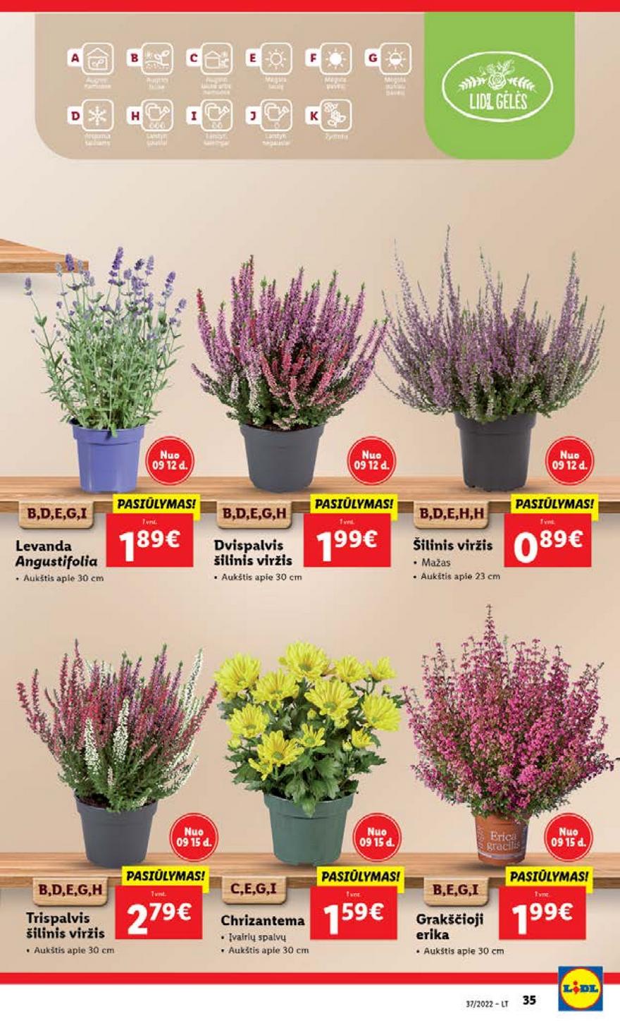 Lidl maisto prekių pasiūlymai akcijos nuo 
  2022-09-12 iki 
  2022-09-18 | Leidinukas.lt puslapis 35