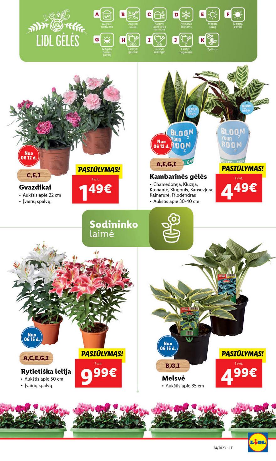 Lidl pasiūlymai akcijos nuo 
  2023-06-12 iki 
  2023-06-18 | Leidinukas.lt puslapis 65