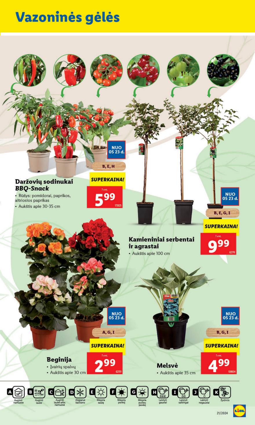 Lidl leidinys akcijos nuo 
  2024-05-20 iki 
  2024-05-26 | Leidinukas.lt puslapis 41