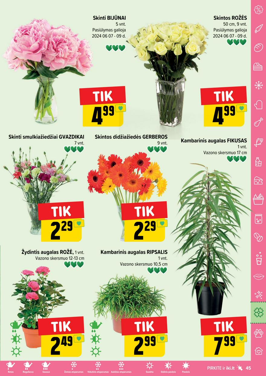 Iki leidinys akcijos nuo 
  2024-06-03 iki 
  2024-06-09 | Leidinukas.lt puslapis 45
