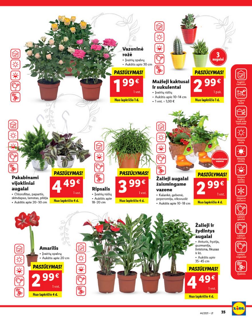 Lidl maisto prekių pasiūlymai akcijos nuo 
  2021-11-01 iki 
  2021-11-07 | Leidinukas.lt puslapis 35