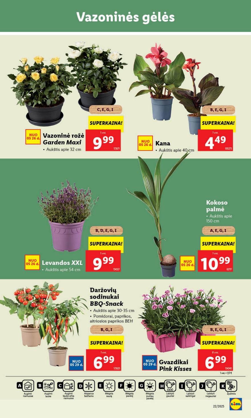 Lidl leidinys akcijos nuo 
  2025-05-26 iki 
  2025-06-01 | Leidinukas.lt puslapis 33