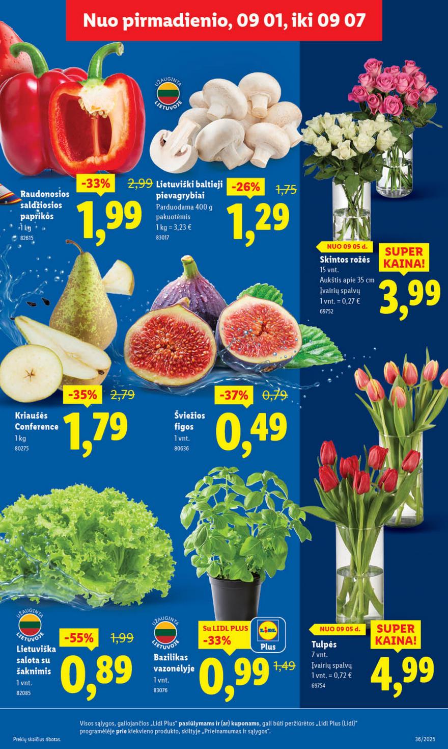 Lidl leidinys akcijos nuo 
  2025-09-01 iki 
  2025-09-07 | Leidinukas.lt puslapis 5