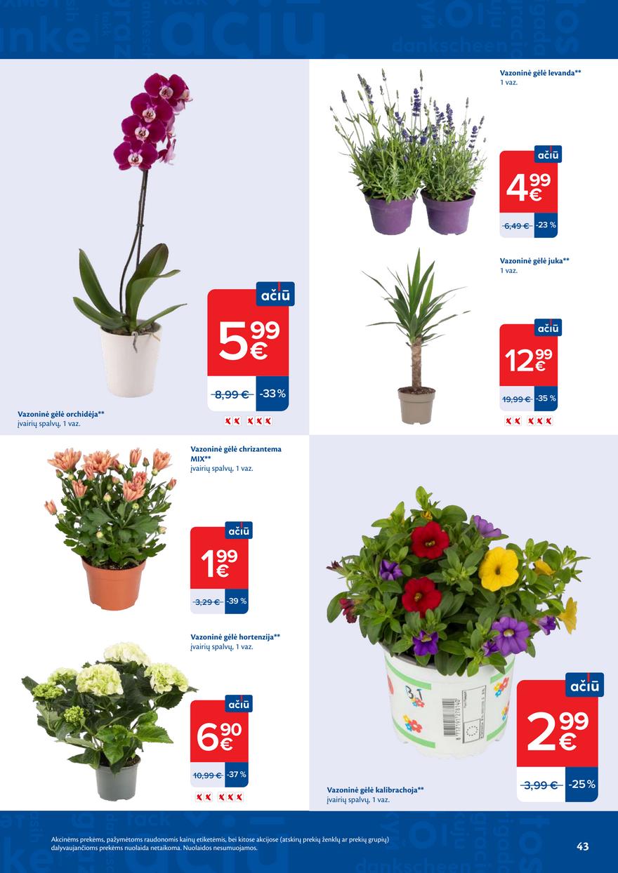 Maxima leidinys akcijos nuo 
  2026-06-09 iki 
  2026-06-15 | Leidinukas.lt puslapis 43