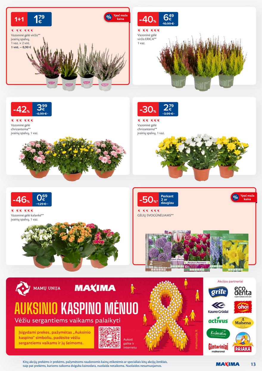Maxima leidinukas akcijos nuo 
  2025-10-14 iki 
  2025-10-20 | Leidinukas.lt puslapis 13