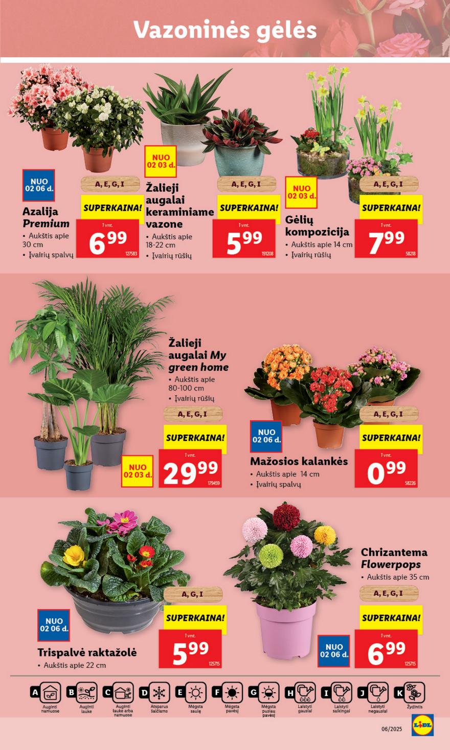 Lidl leidinys naujas akcijos nuo 
  2025-02-03 iki 
  2025-02-09 | Leidinukas.lt puslapis 45