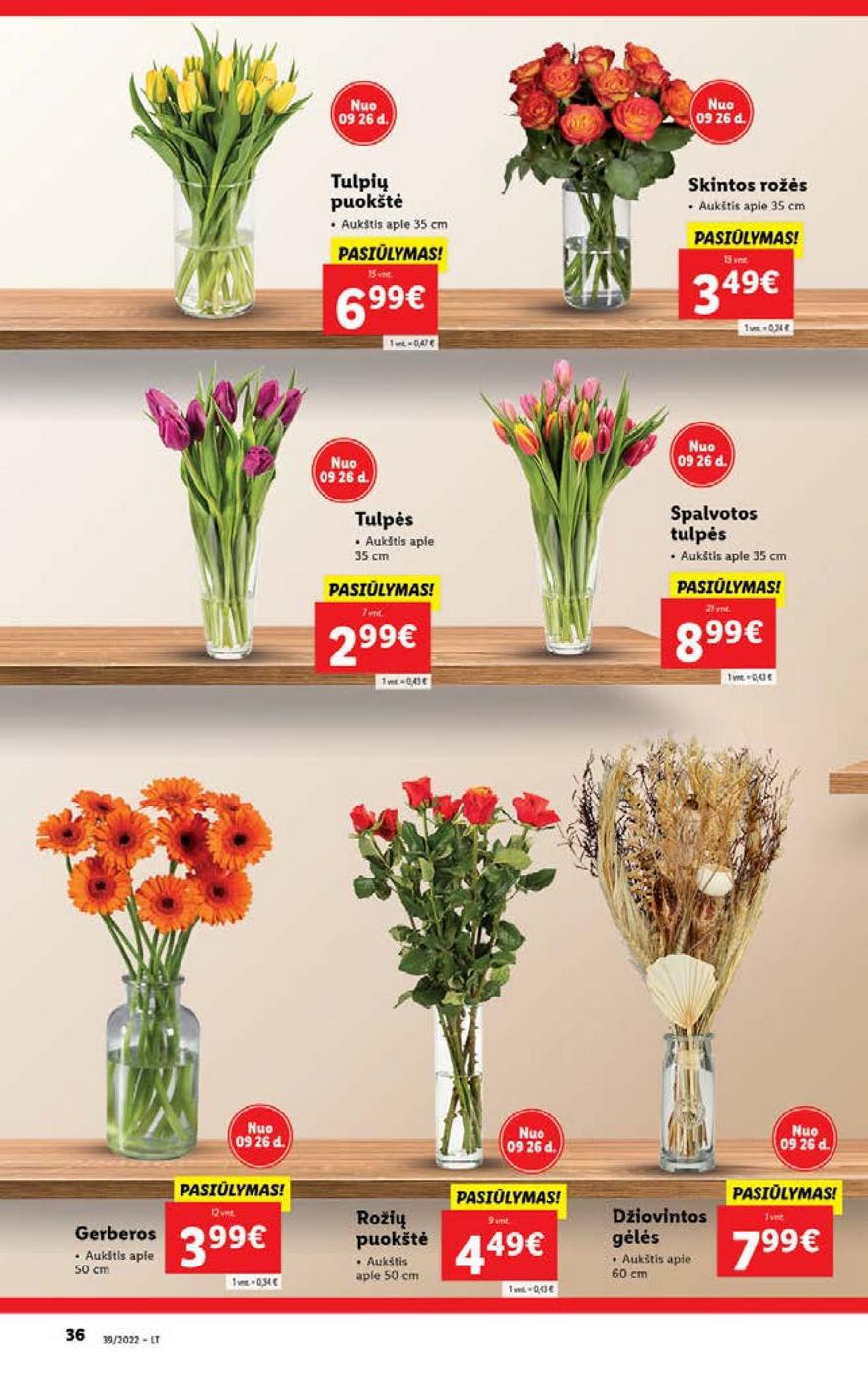 Lidl maisto prekių pasiūlymai akcijos nuo 
  2022-09-26 iki 
  2022-10-02 | Leidinukas.lt puslapis 36