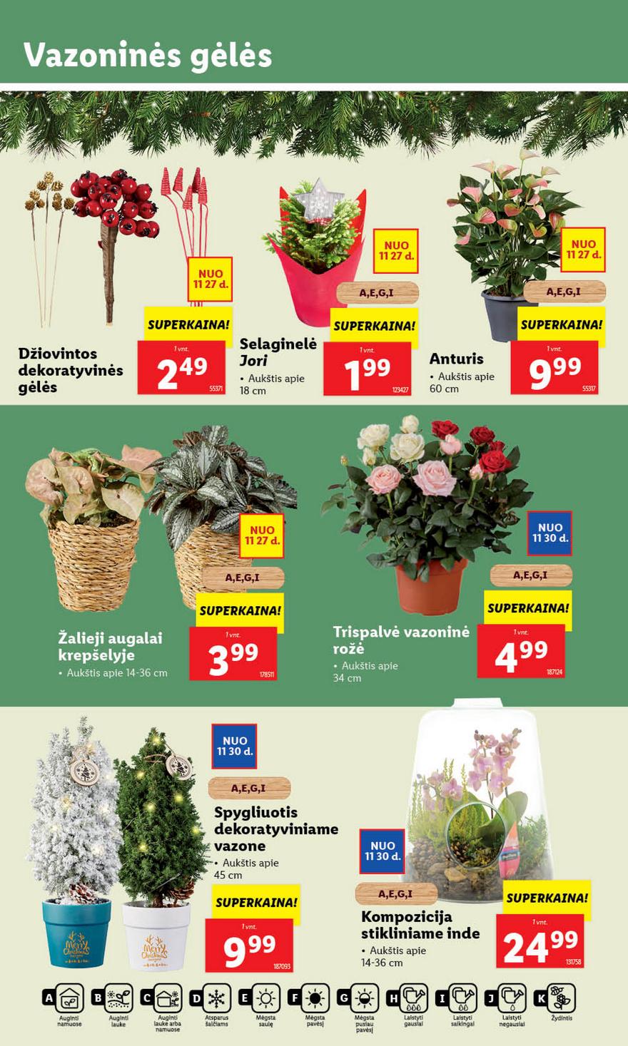 Lidl pasiūlymai akcijos nuo 
  2023-11-27 iki 
  2023-12-03 | Leidinukas.lt puslapis 45