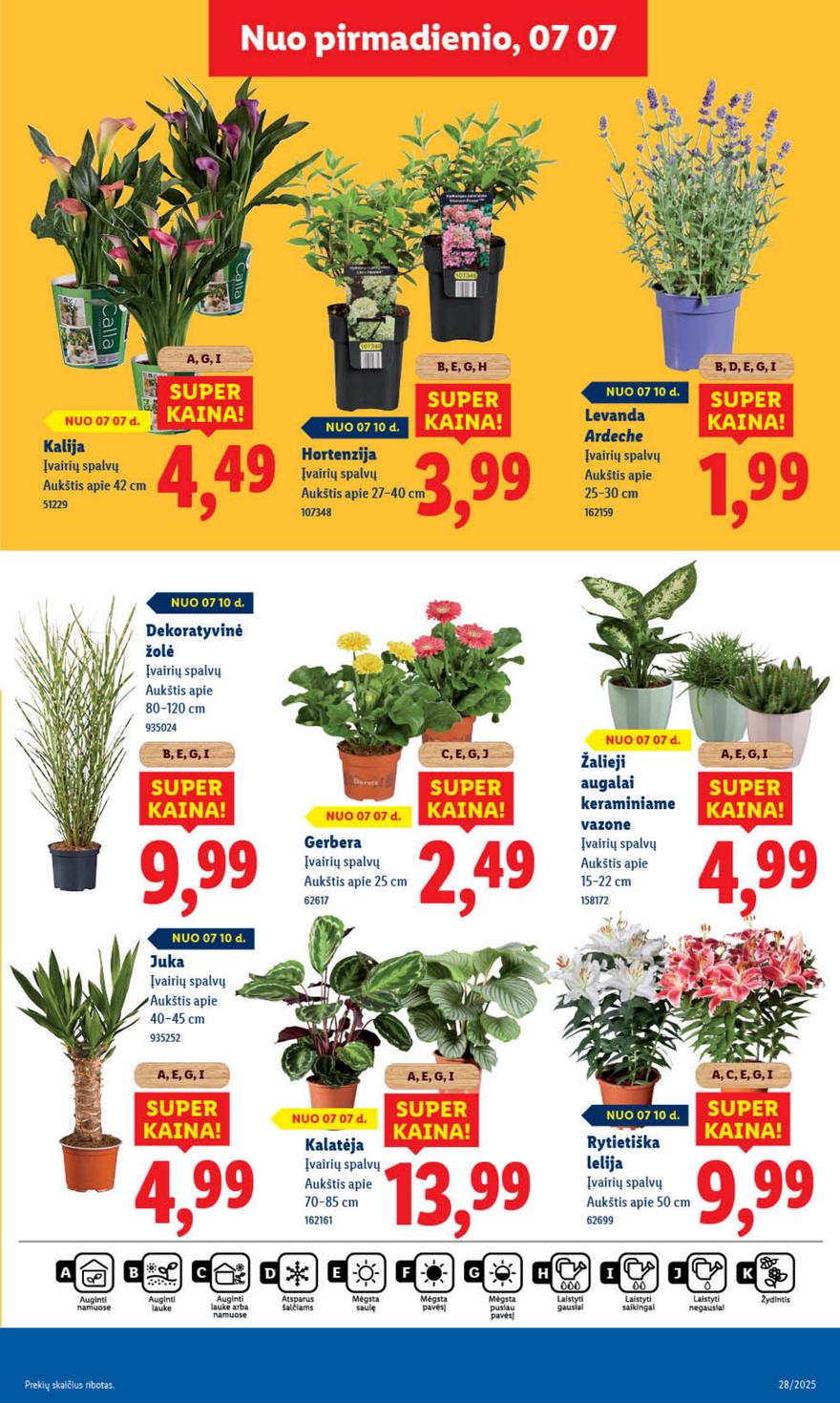 Lidl leidinys akcijos nuo 
  2025-07-10 iki 
  2025-07-13 | Leidinukas.lt puslapis 57