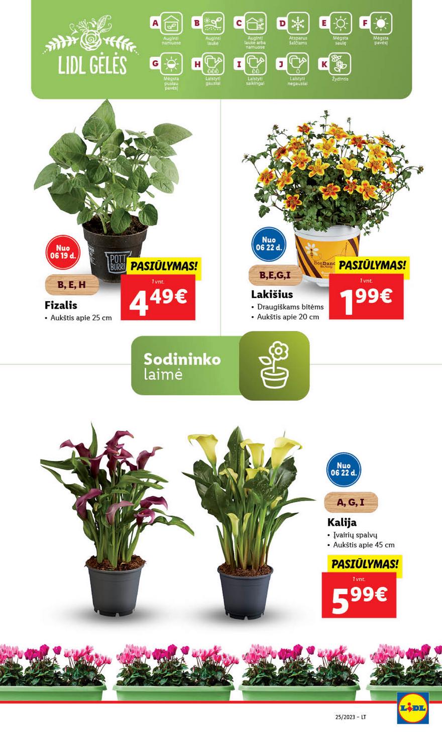 Lidl pasiūlymai akcijos nuo 
  2023-06-19 iki 
  2023-06-25 | Leidinukas.lt puslapis 74
