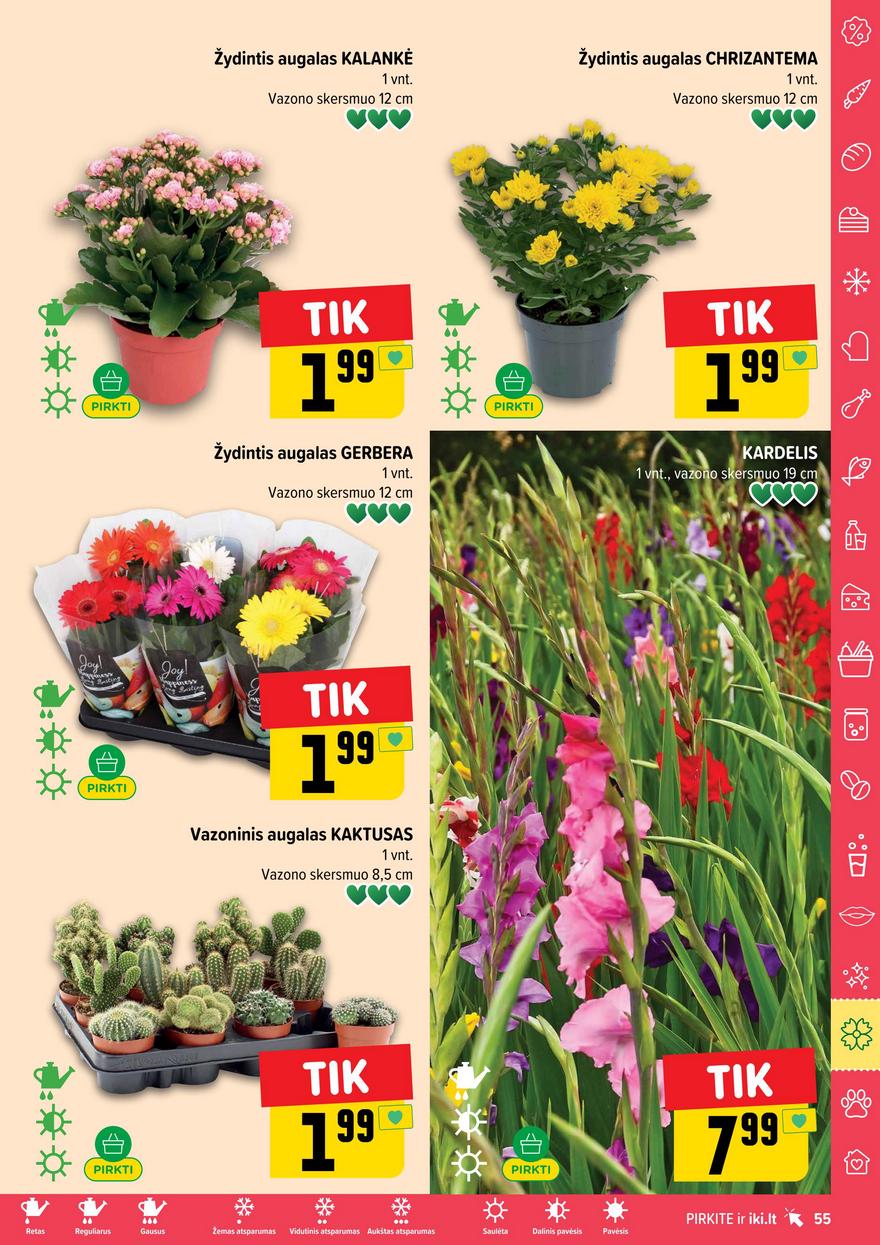 Iki leidinys akcijos nuo 
  2025-08-04 iki 
  2025-08-10 | Leidinukas.lt puslapis 55