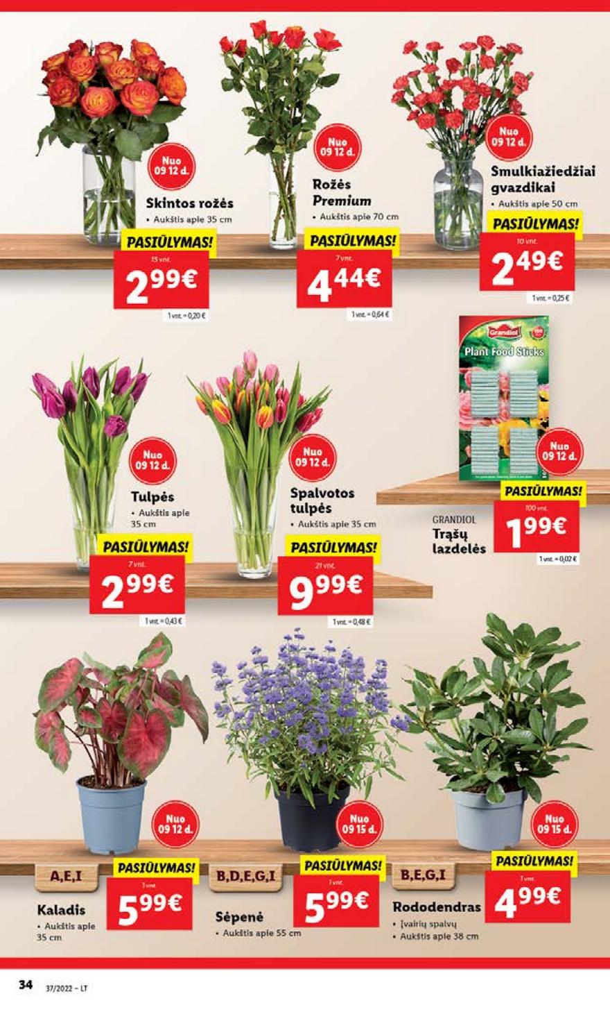 Lidl maisto prekių pasiūlymai akcijos nuo 
  2022-09-12 iki 
  2022-09-18 | Leidinukas.lt puslapis 34