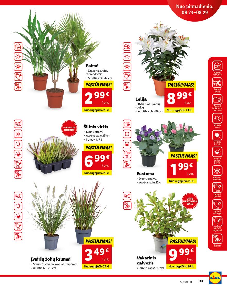 Lidl maisto prekių pasiūlymai akcijos nuo 
  2021-08-23 iki 
  2021-08-29 | Leidinukas.lt puslapis 33