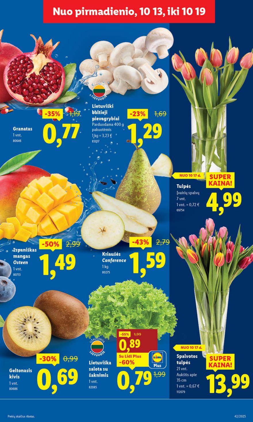 Lidl leidinys naujas akcijos nuo 
  2025-10-13 iki 
  2025-10-19 | Leidinukas.lt puslapis 7