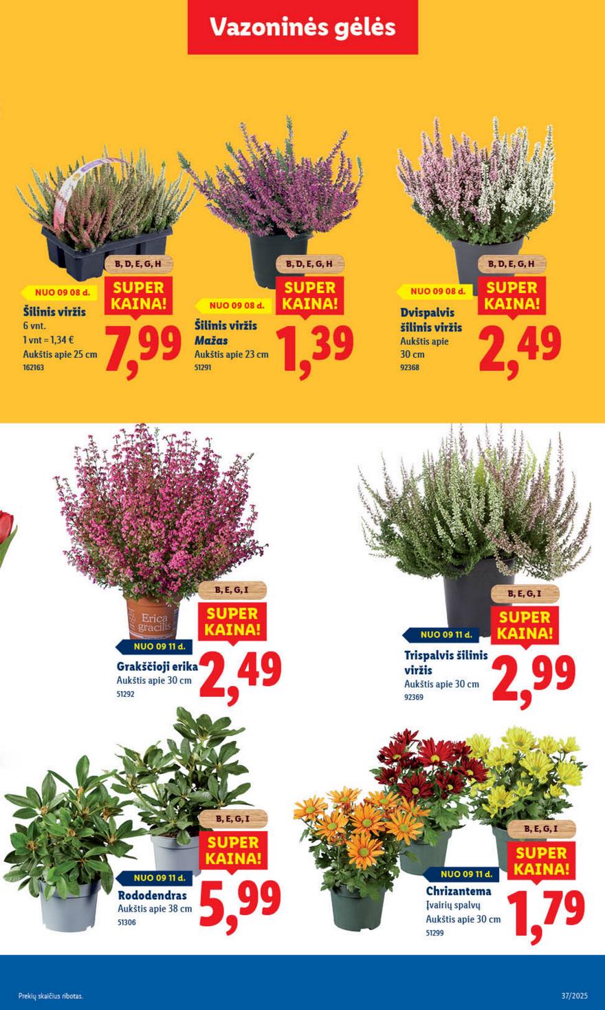 Lidl leidinys akcijos nuo 
  2025-09-08 iki 
  2025-09-14 | Leidinukas.lt puslapis 41